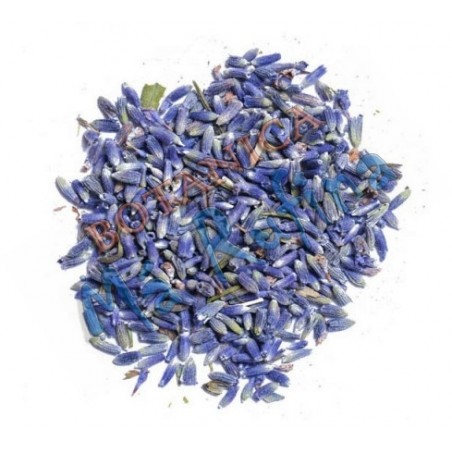 Natural Dried Lavender Flowers